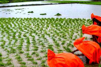 Warmest June In 123 Years, But Good News On Monsoon Front For Farmers In July