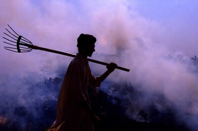 Opinion | The Sleep of Reason And Delhi's Deadly Smog