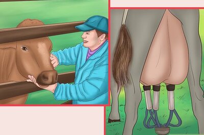 How to Visit a Dairy Farm