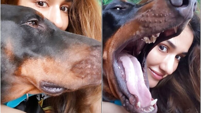 When Disha Patani's Pet Dog Goku Tried to Eat Her, See Pics