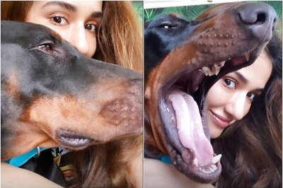 When Disha Patani's Pet Dog Goku Tried to Eat Her, See Pics