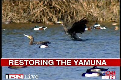 Yamuna Bachao Yatra activists to reach Delhi on Monday