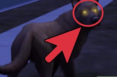 How to Make a Werewolf in the Sims 2