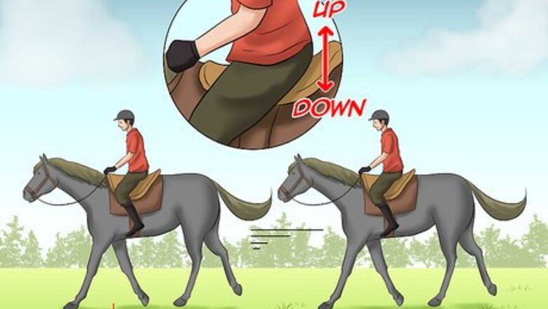 How to Train a Horse to Walk Through Water