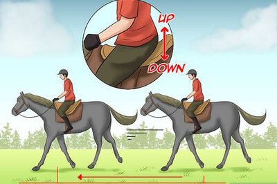 How to Train a Horse to Walk Through Water
