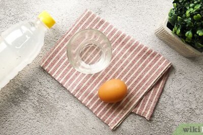 How to Dissolve an Eggshell