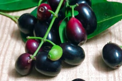 10 Health Benefits Of Jamun You Can’t Miss