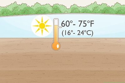 How to Plant Rye Grass