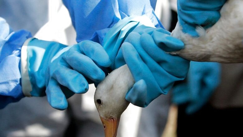 Bird Flu: Over 1,000 More Bird Deaths Reported; Centre Issues Advisories on Testing, Culling Operations