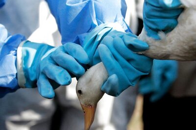 Bird Flu: Over 1,000 More Bird Deaths Reported; Centre Issues Advisories on Testing, Culling Operations