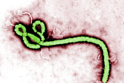 New Ebola Virus Found in Sierra Leone, Two Years After End of Outbreak