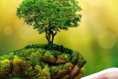 World Nature Conservation Day 2021: Here are Things You Could do to Conserve Natural Resources