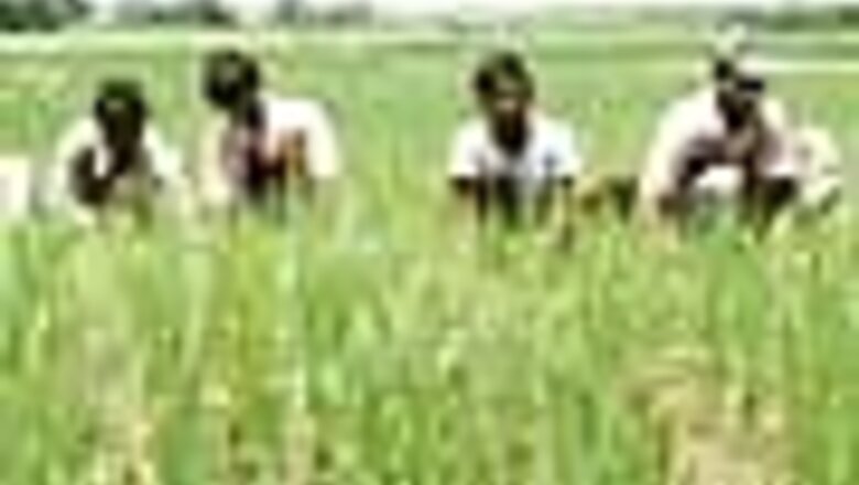 Civil Services Mains exam syllabus: Agriculture