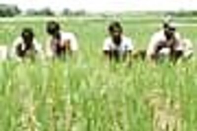 Civil Services Mains exam syllabus: Agriculture