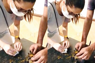 When Shraddha Kapoor Nursed An Injured Crow