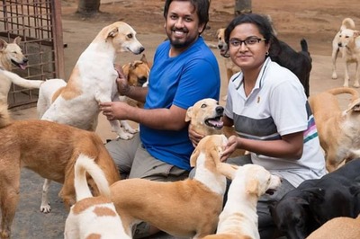 Bengaluru Man Gives Up Lucrative Job to Take Care of Hundreds of Stray Dogs