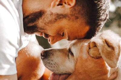 UK Pet Owners On Alert As Alabama Rot Spreads