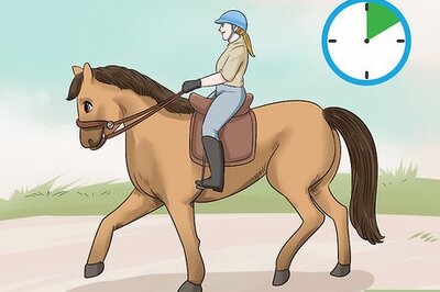 How to Keep Your Balance on a Galloping Horse
