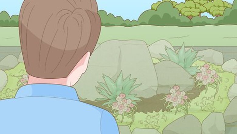 How to Build a Rock Garden with Weed Prevention