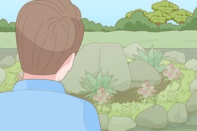 How to Build a Rock Garden with Weed Prevention