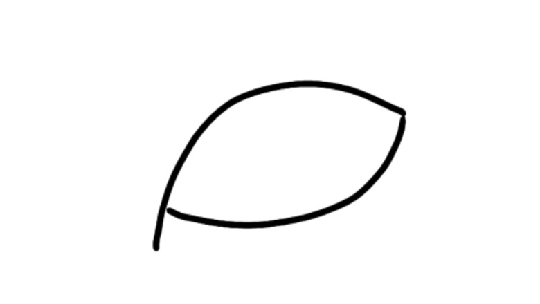 How to Draw Cat Eyes