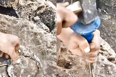 Man Breaks Rock To Look For Hidden Treasure, Here’s What Happens Next