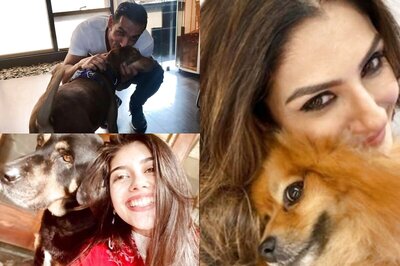 B-Town Turns to Pals with Paws to Battle Lockdown Blues