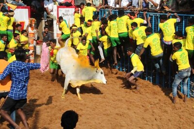 Protests Erupt in Tamil Nadu Village After Jallikattu Event Leads to Caste Violence