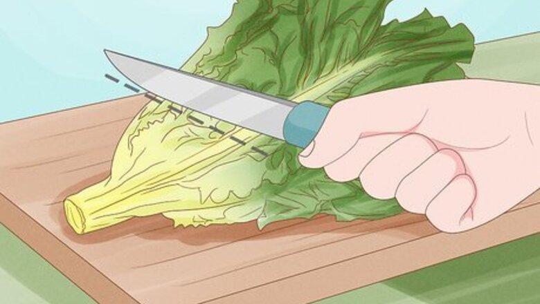 How to Regrow Vegetables