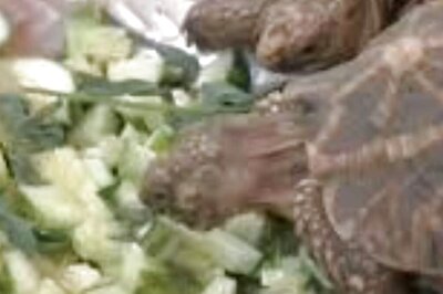 Puducherry Forest Dept Undertakes Measures To Protect Animals From Scorching Heat