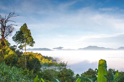 International Day of the Tropics 2023: History, Significance, and Interesting Facts