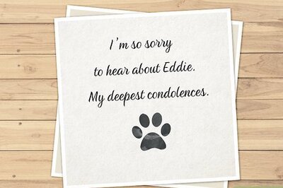 15 Things to Say in a Pet Sympathy Card