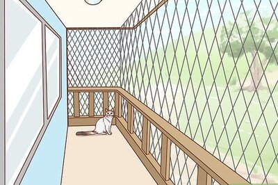 How to Make a Balcony Safe for Cats