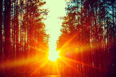 Aaj Ka Panchang, 22 March, 2024: Tithi, Vrat, and Today’s Shubh, Ashubh Muhurat