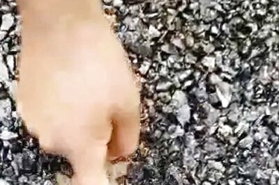 Viral video exposes corruption in road construction in UP’s Bulandshahr