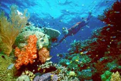 Dream job on paradise island you don't want to miss