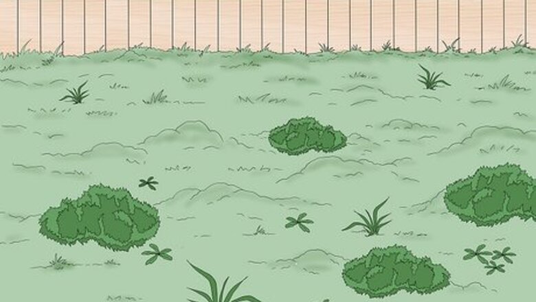 How to Prepare Your Garden for a Shed