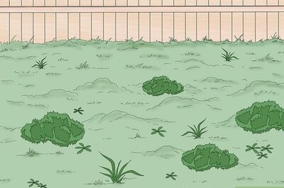 How to Prepare Your Garden for a Shed