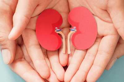 5 Most Common Types Of Kidney Diseases
