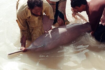 Student Community In Bengal To Help Conserve Gangetic River Dolphin