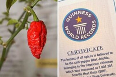 Indian chilli world's hottest: Guinness
