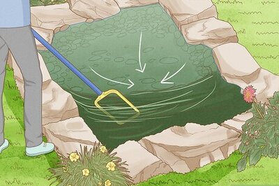 How to Clean a Pond