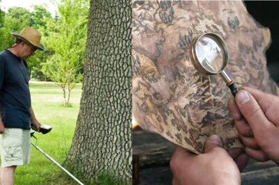 US Treasure Hunter Digs Staten Island Park Using Clues From A 1982 Book, Finds Nothing