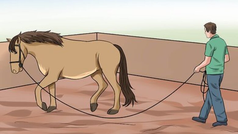 How to Treat Hoof Thrush
