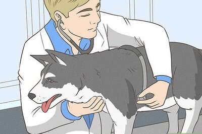 How to Stop Your Dog from Waking You Up at Night