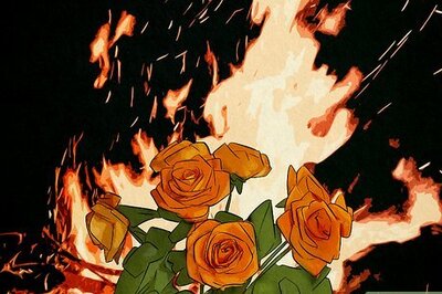 What's the Meaning of an Orange Rose? (Plus, When to Give It to Someone)