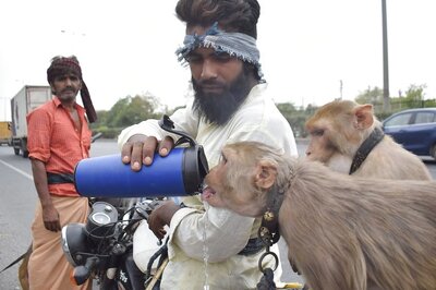 New Study Warns of Dangerously High Heat Levels in India as Global Emissions Rise in Coming Decades