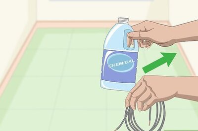 How to Build a Safe Playground for Your Pet Rats