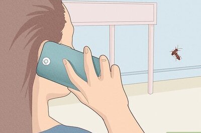 How to Prepare Your Apartment for Pest Control