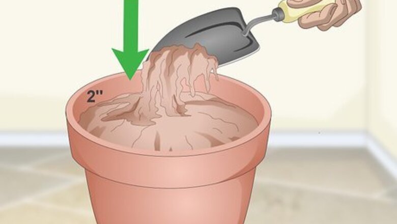 How to Make a Grass Pot for Cats